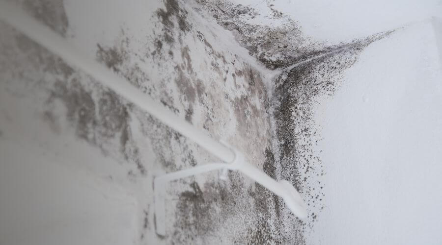 Why choose water damage restoration service for burst pipe water damage in Murfreesboro